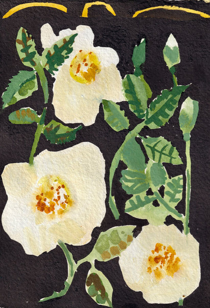 White Rose Garden Giclee print – Georgie Richardson Art