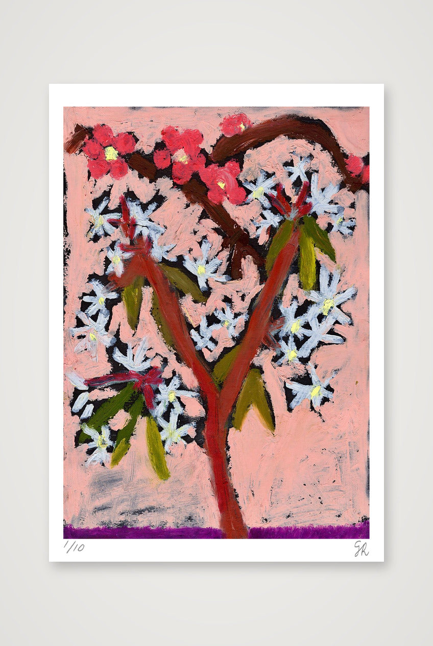 Blossom on pink print — 59×84cm, 23×33" Print only