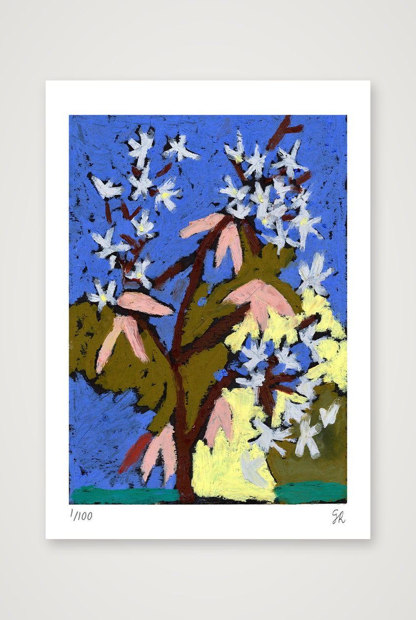 Blossom print — A4 (21×30cm, 8×12") Print only