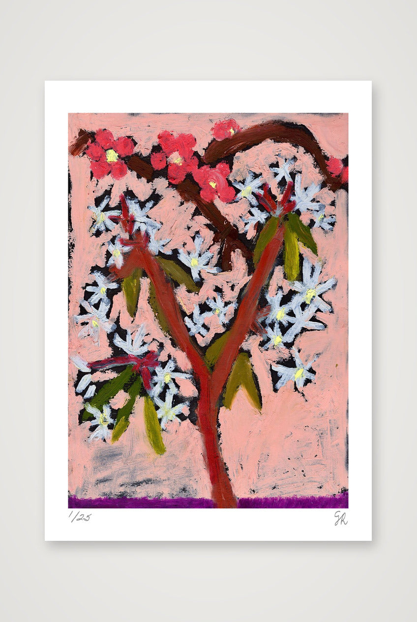 Blossom on pink print — 42×59cm, 17×23" Print only