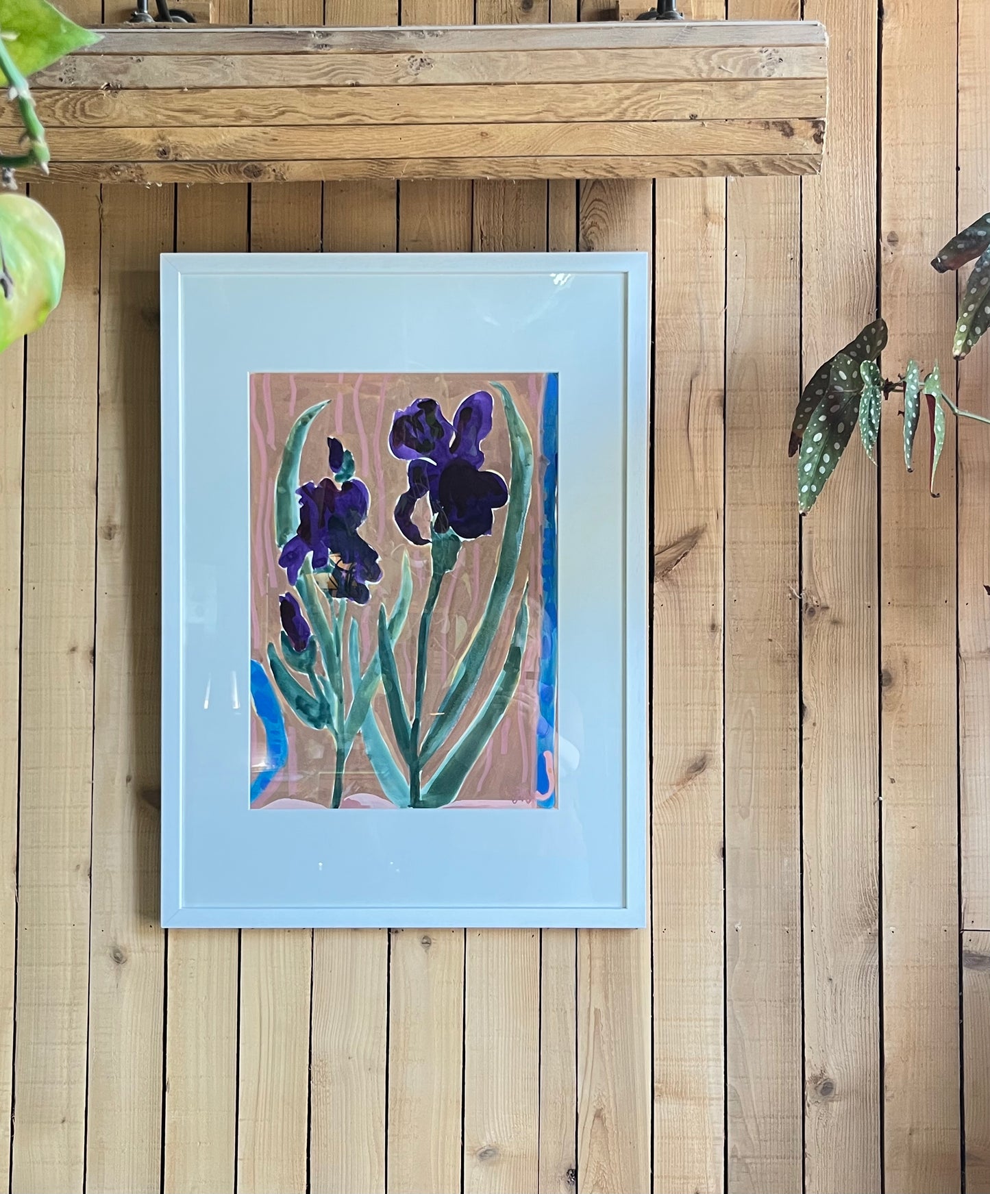 Iris original painting on paper