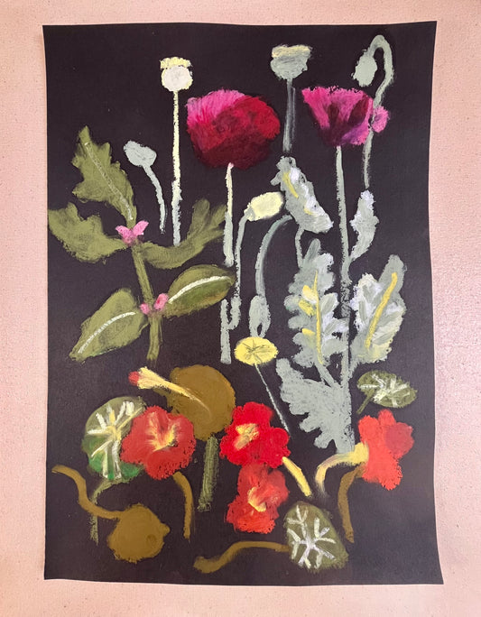 Poppies & Nasturtiums