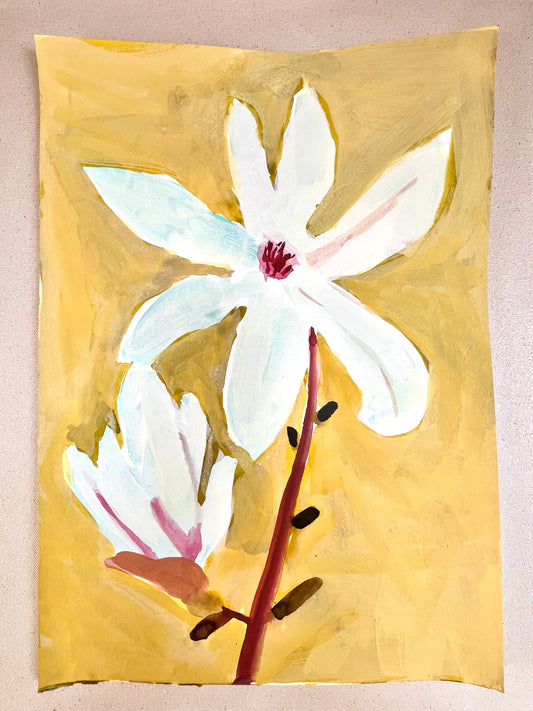 Magnolia