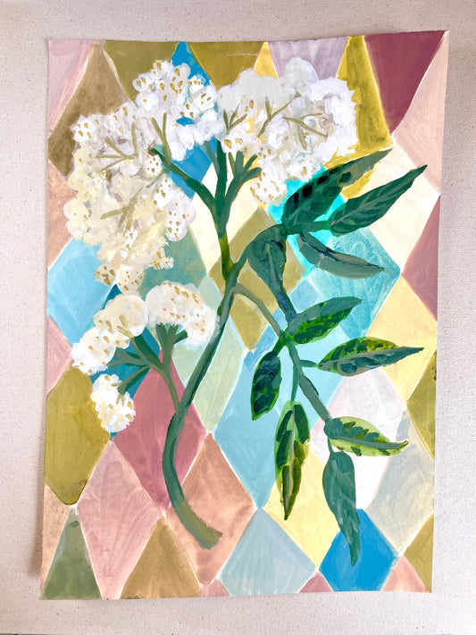 Elderflower