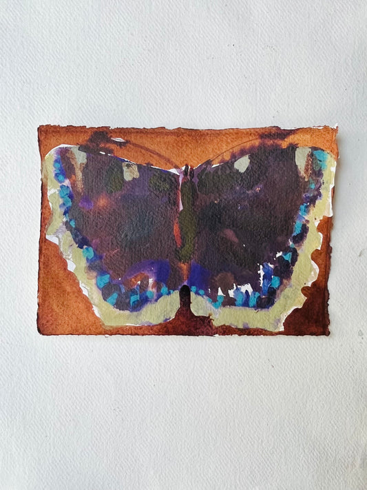 Butterfly no 5