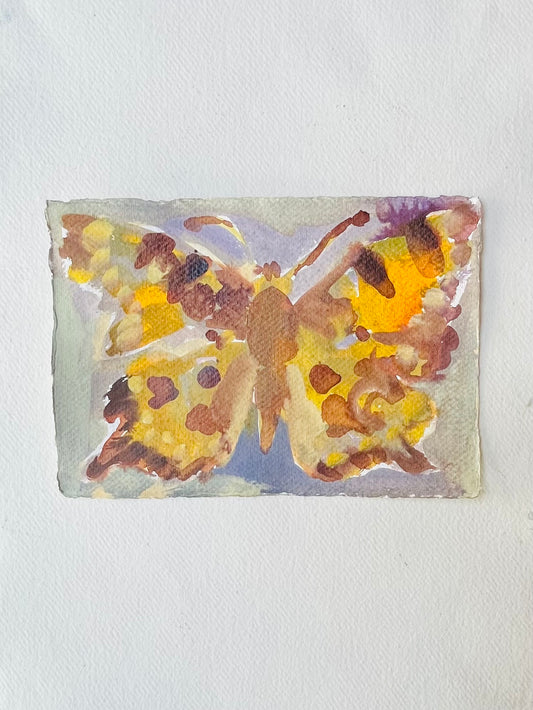Butterfly no 3
