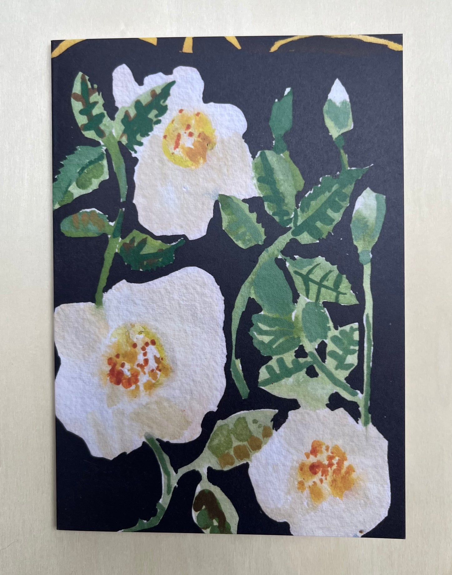 Fine Art Greetings Cards box of 6