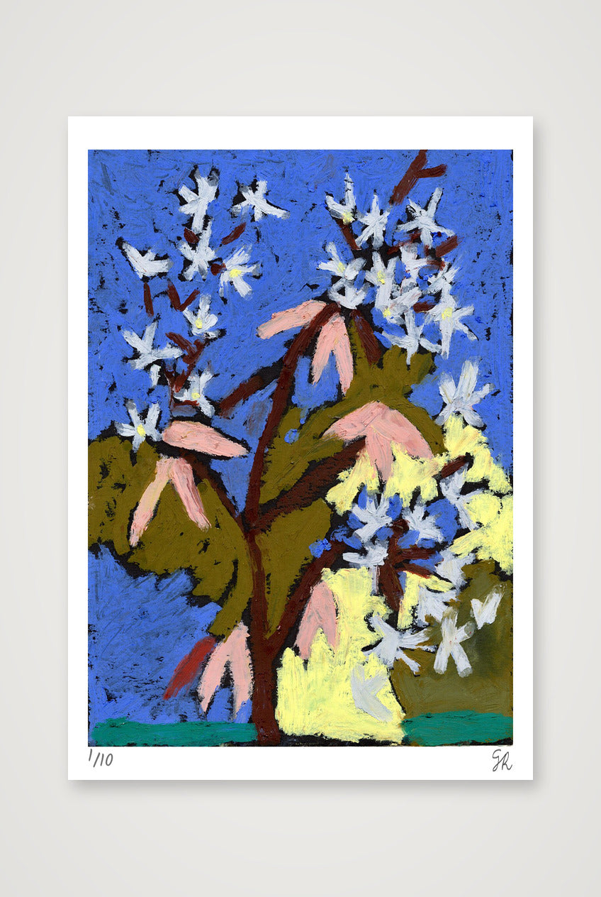 Blossom print — 59×84cm, 23×33" Print only