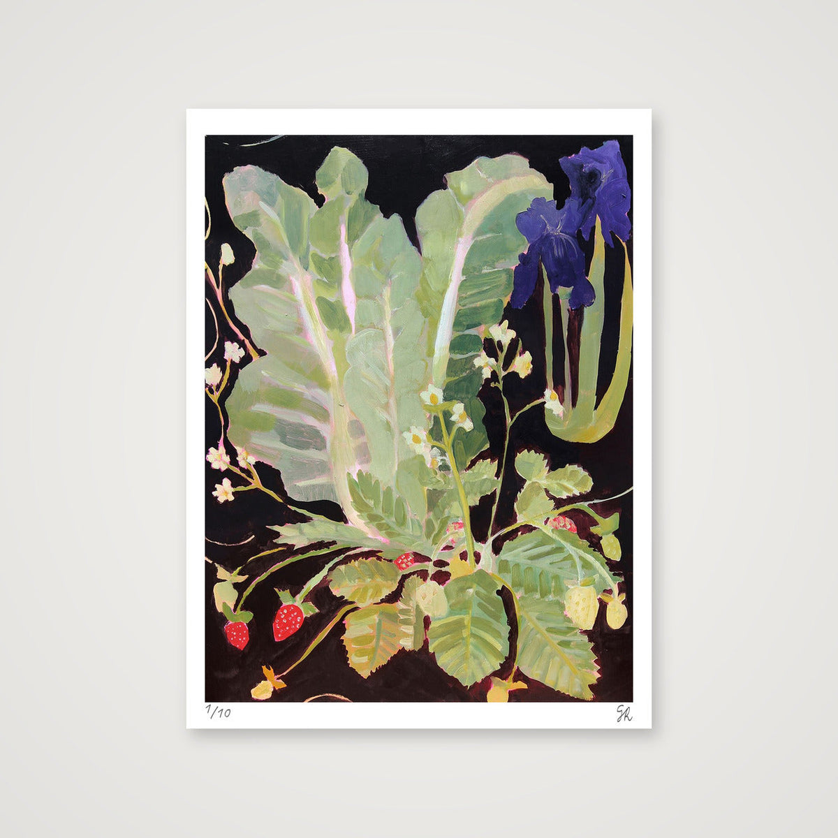 Chard & Strawberries  — 60×80cm, 24×31" Print only